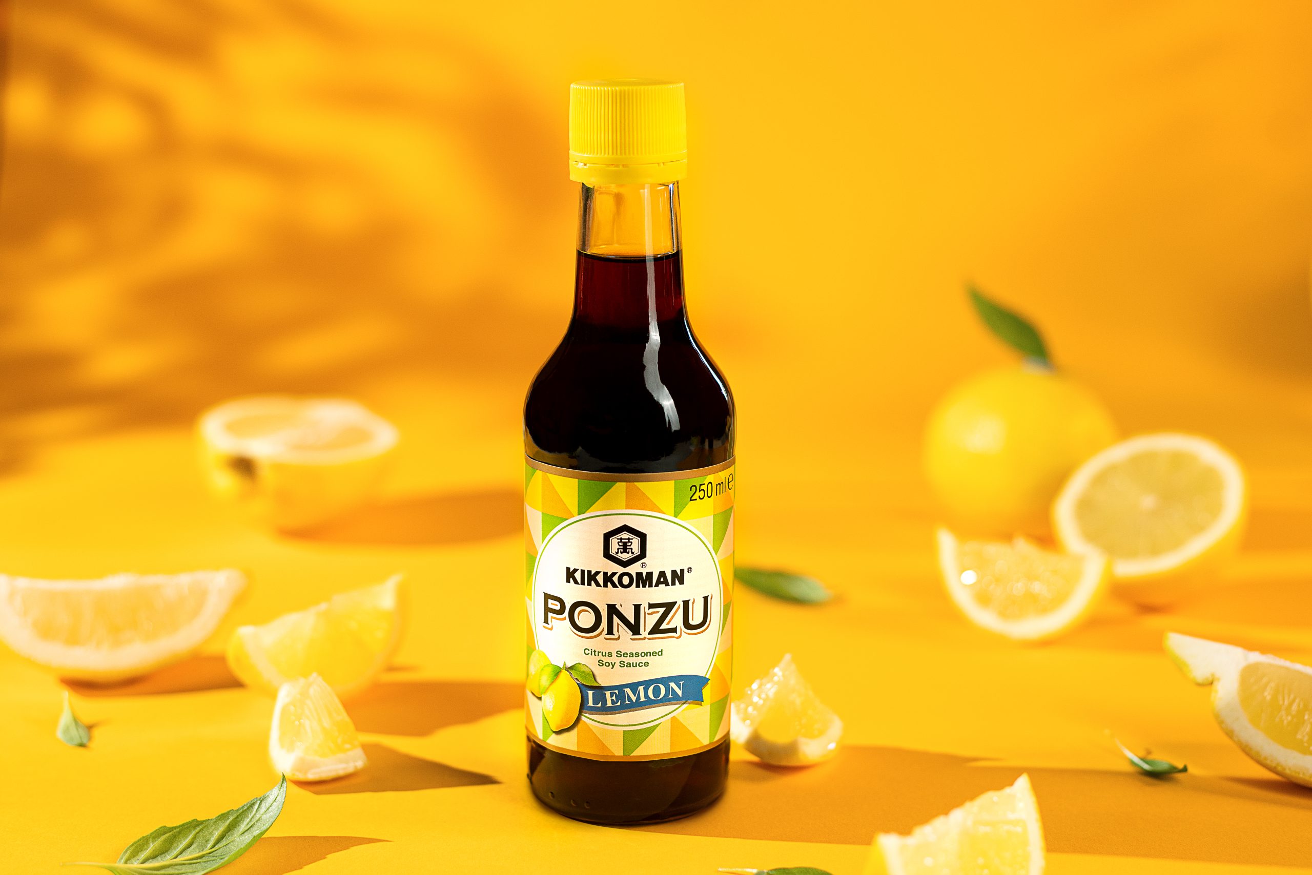 ponzu lemon fd kopie ponzu lemon fd kopie