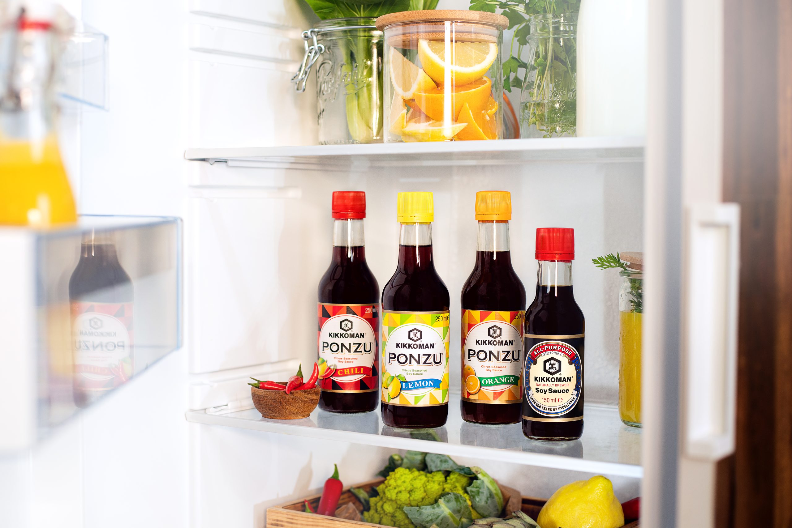 refridgerator ponzu fr kopie refridgerator ponzu fr kopie