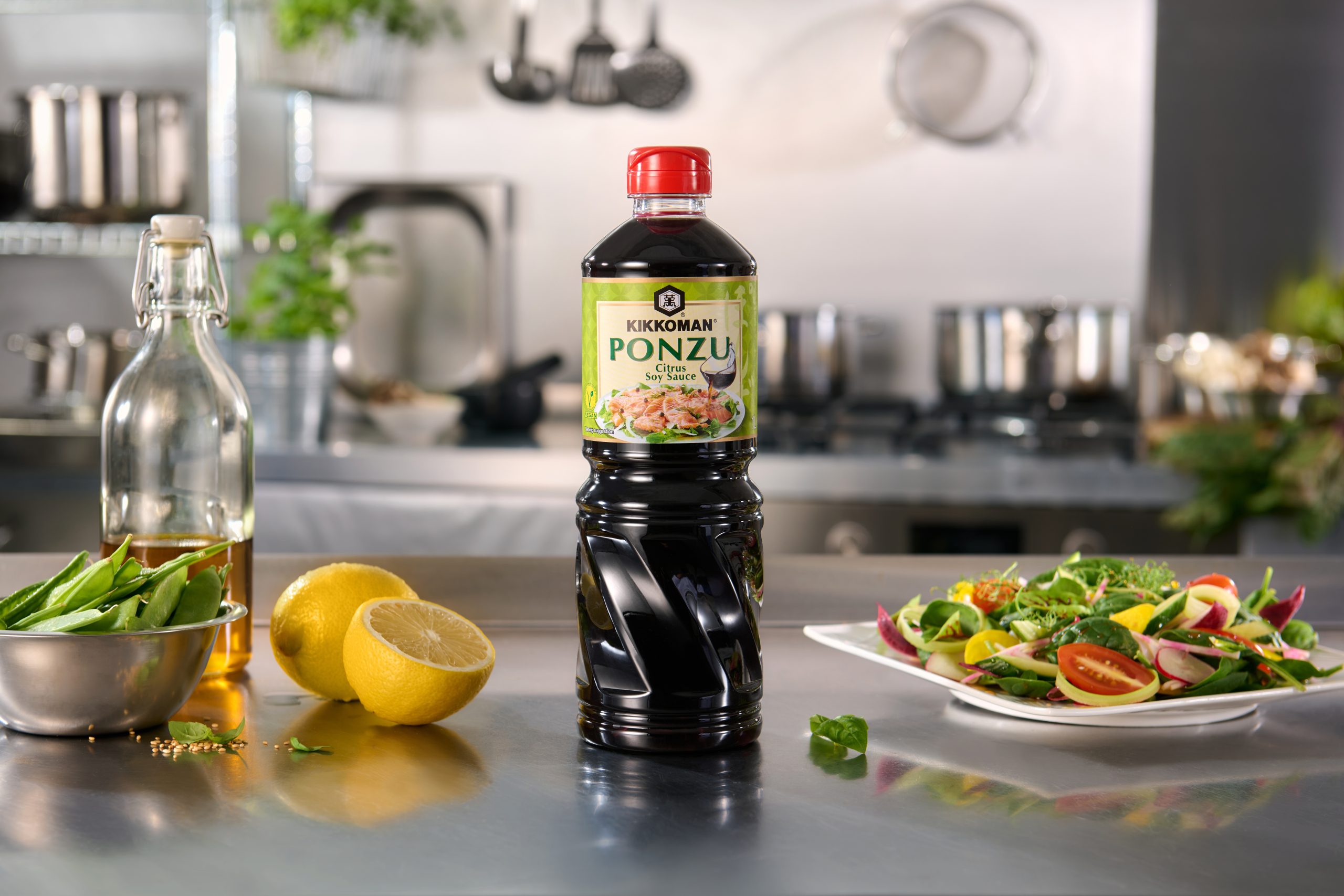 dishes ponzu dishes ponzu