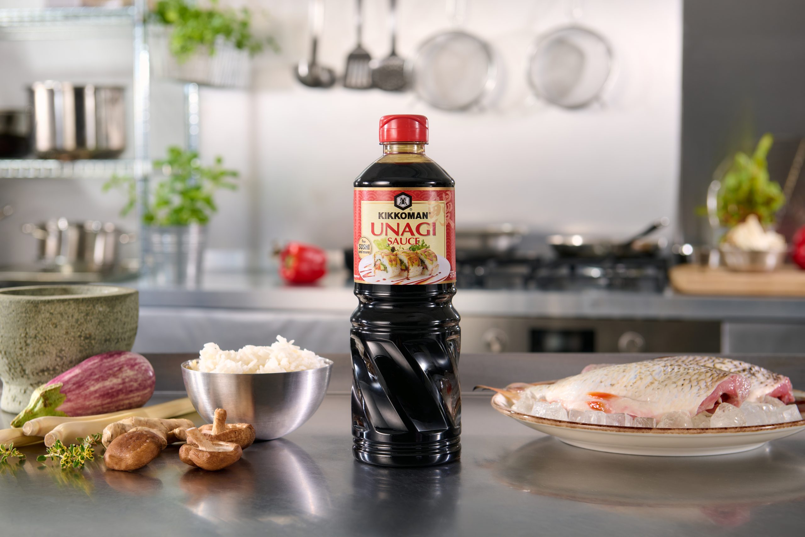 products unagi products unagi